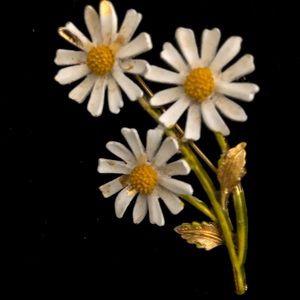 Lovely 1955 Vintage Arthur Pepper Daisies Pin